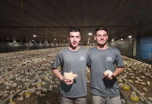 Daniel e Leandro Pan seguem tradição familiar e inovam na produção avícola em Flores da Cunha no Rio Grande do Sul