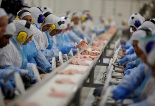 Carne de frango: mercado mundial dá sinais de recuperação, diz Rabobank