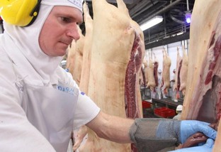 Carne suína perde competitividade e produtor independente sofre com custos