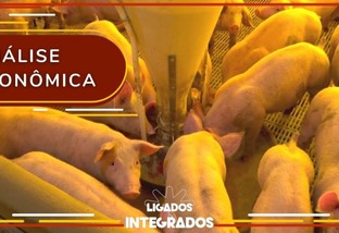 Paranaguá já exportou 3,7 milhões de toneladas de carne de aves em 2021
