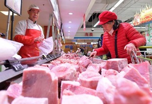 Vendas internacionais de carne suína aumentam 14,9% neste ano