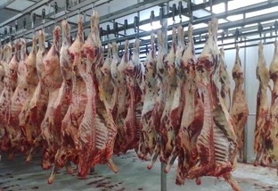 Mercado de carne bovina vive momento de apreensão à espera do posicionamento chinês