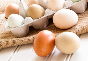 Fresh multi-color farm eggs on the table.