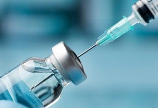 Gripe aviária: laboratórios preparam vacina para humanos