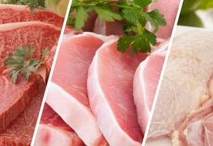 Carne de frango: preços sobem em fevereiro com recorde de exportações