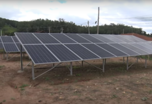 Avicultores reduzem custos de produção com energia fotovoltaica