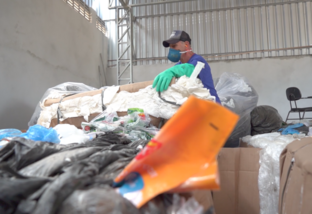 Descarte correto de resíduos protege saúde animal, humana e o meio ambiente