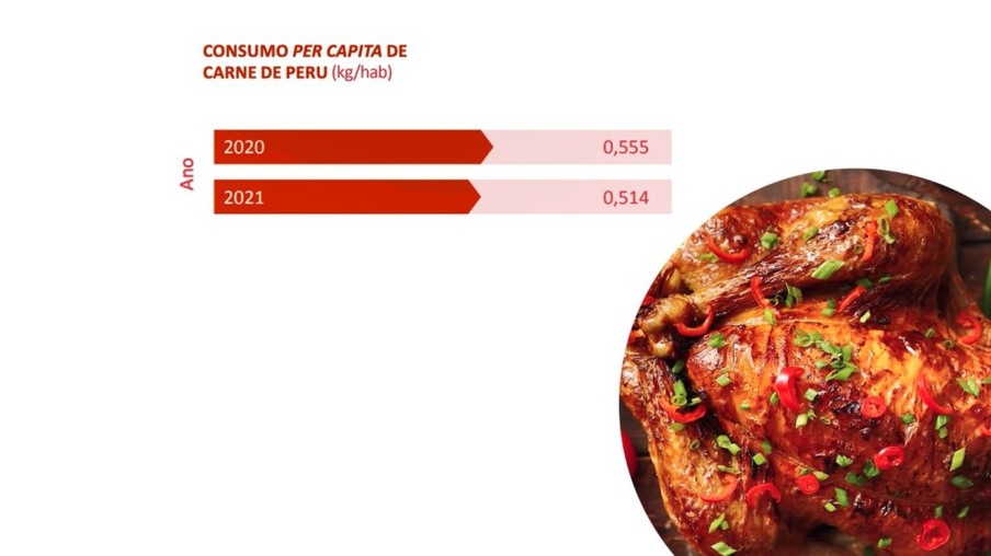 Do Sul do Brasil para o mundo: carne de peru conquista novos mercados e gera US$ 200 mi em 2023