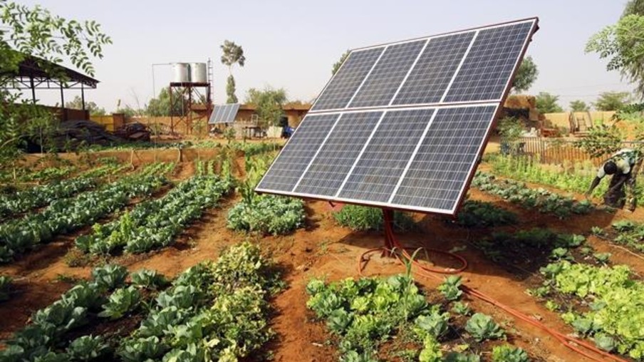 55% das granjas produtoras da Seara utilizam energia solar