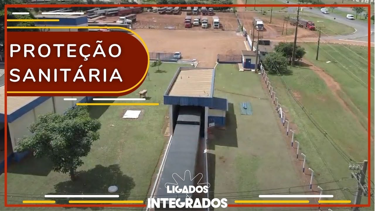 Suinocultura: normativa que estabelece gestação coletiva entrou em vigor