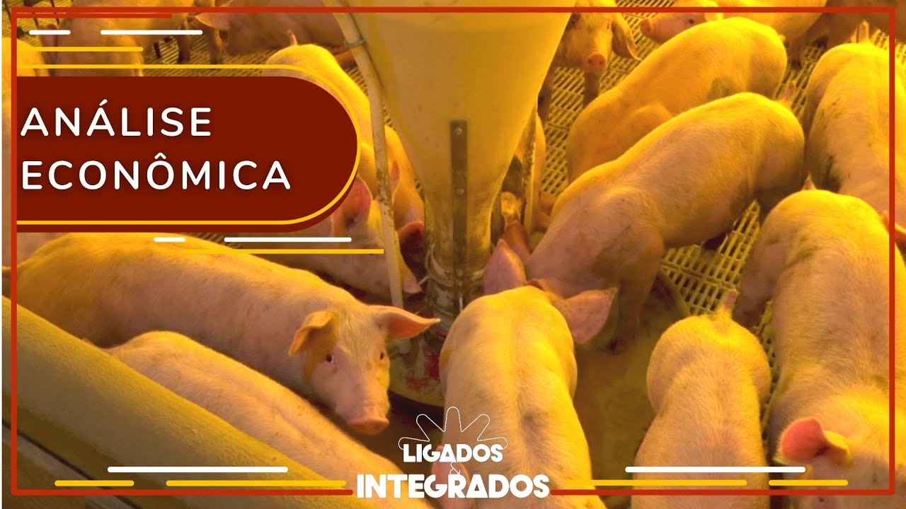 Paranaguá já exportou 3,7 milhões de toneladas de carne de aves em 2021