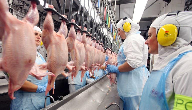 Frango: setor é marcado por produção recorde e perda de competitividade em 2023