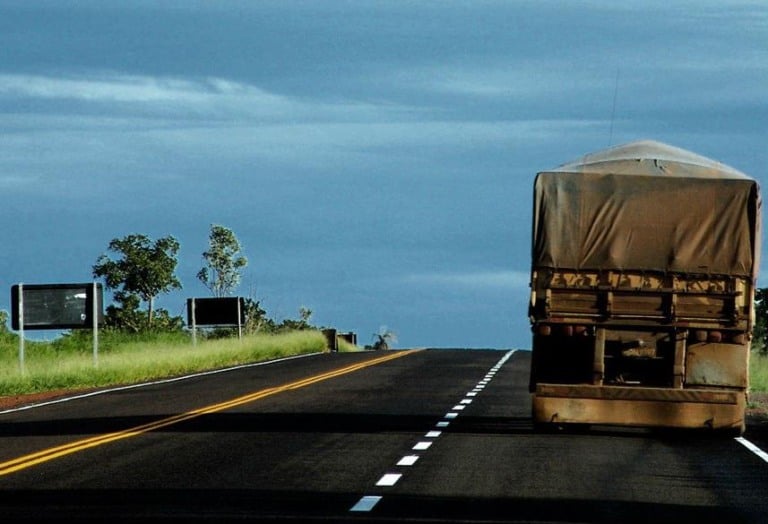 Perus: Transporte é dividido entre etapas de produção e por peso das aves