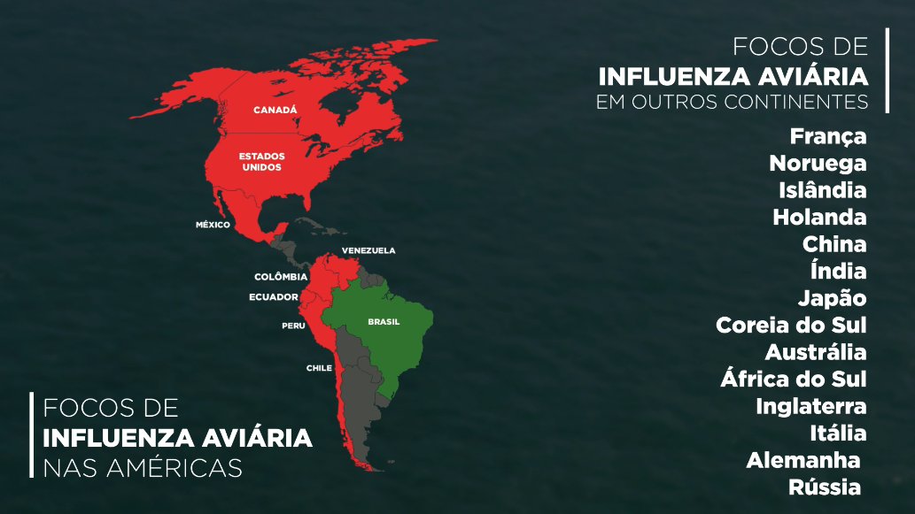 focos de influenza aviária nas américas