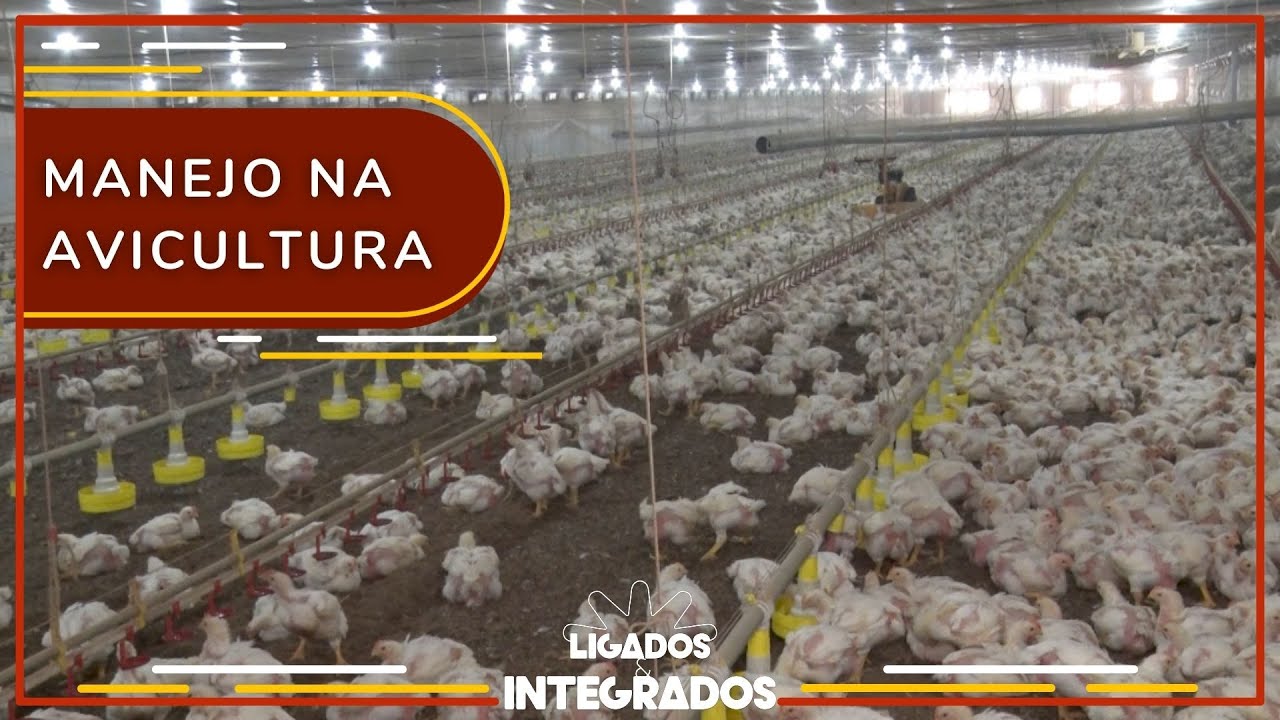 Confira os destaques desta quinta-feira (27) do Ligados & Integrados