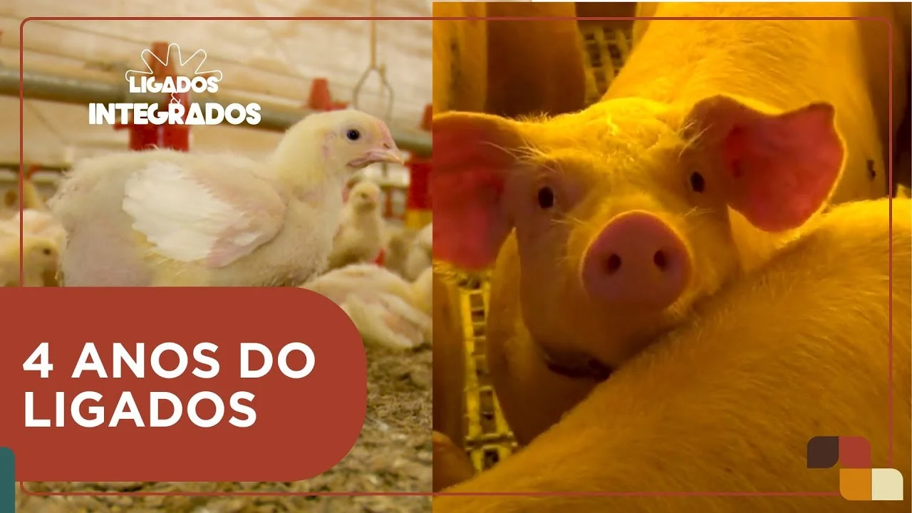 Ligados & Integrados: 4 anos conectando o campo à mesa com informação de qualidade