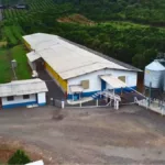 Avicultura brasileira: o segredo do sucesso está na biosseguridade