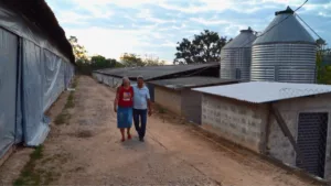 Família Faria realiza sonho de se tornar produtora de frango