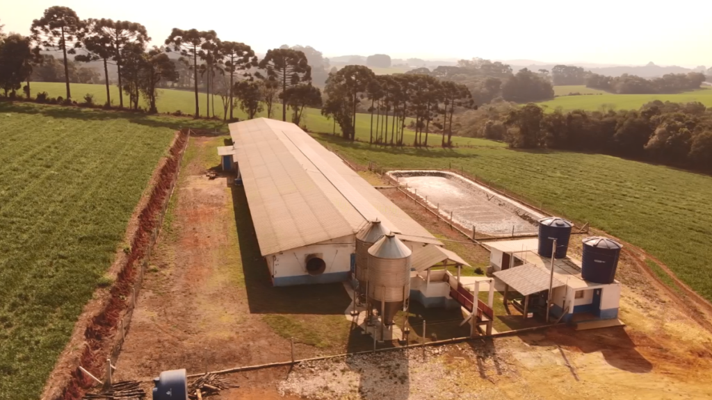 Granja de creche no Paraná