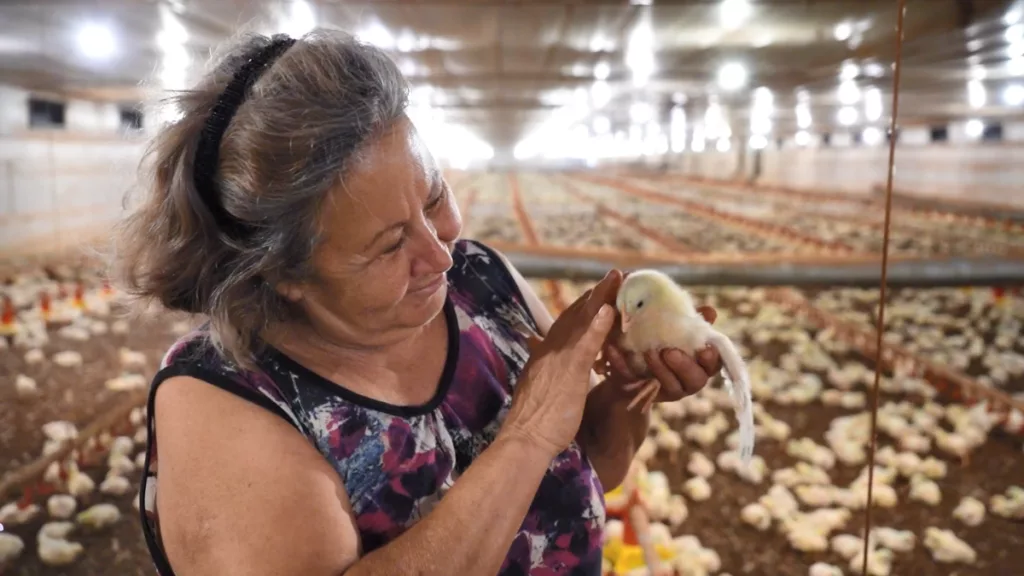 bem-estar animal na produção da família Castilho